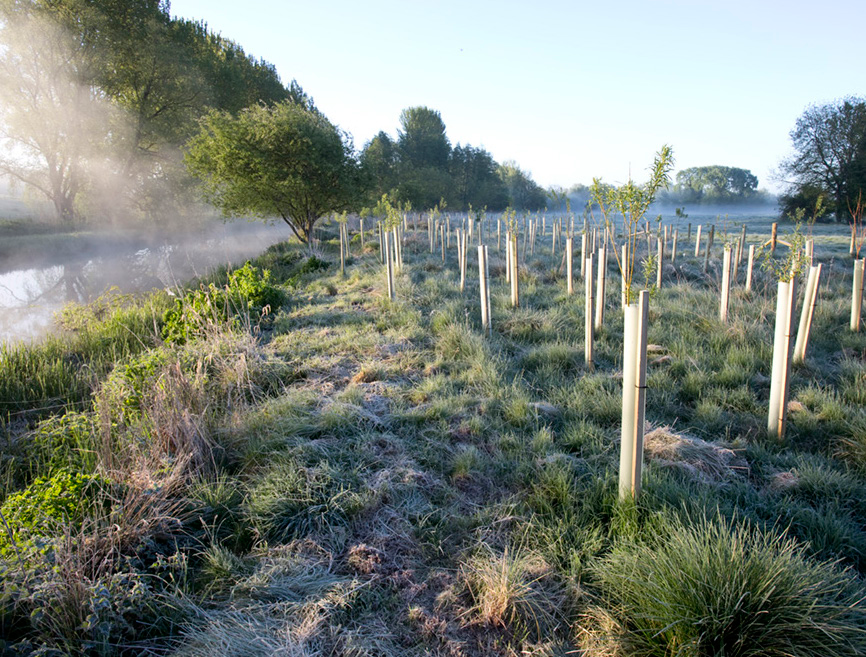 Nuovi dossier sulla gestione dei corsi d’acqua, le best practices secondo Woodland Trust e WWF