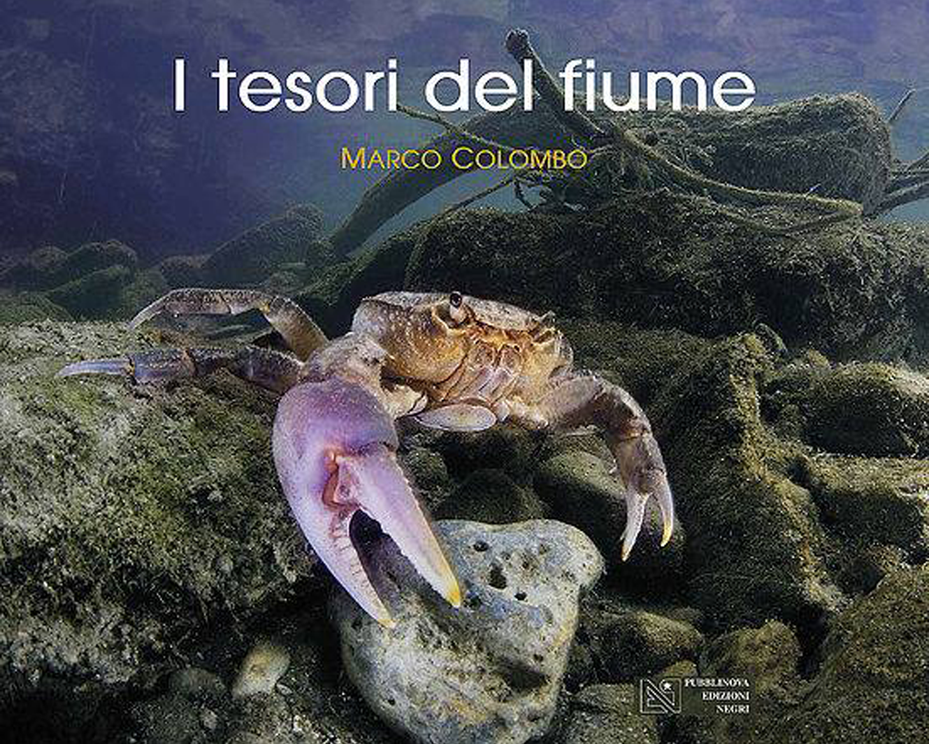“I tesori del fiume”, di Marco Colombo.
